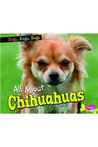 All about Chihuahuas