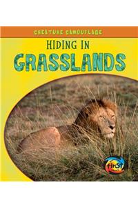Hiding in Grasslands