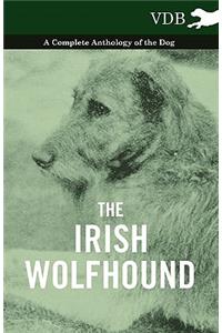 The Irish Wolfhound - A Complete Anthology of the Dog