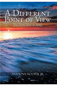 Different Point of View: You Don't Have to Agree