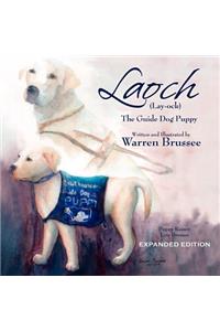 Laoch (Lay-ock) the Guide Dog Puppy