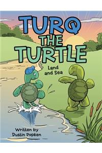 Turq the Turtle