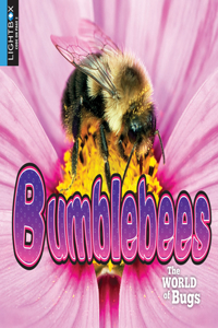 Bumblebees