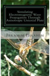 Simulating Electromagnetic Wave Propagation Through Anisotropic Uniaxial Plate: For Normal Incidence with Coordinate-Free Approach