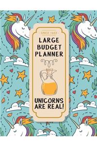 Large Budget Planner: Unicorn Design: Budget Planner (Included Yearly Tracker Review) 8.5*11 Inches