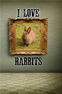 I Love Rabbits