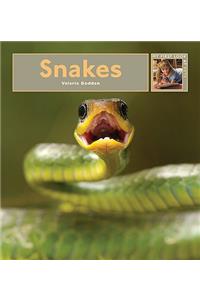 Snakes