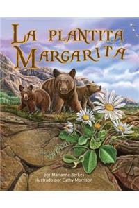 La Plantita Margarita (Daisylocks)