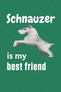 Schnauzer is my best friend: For Schnauzer Dog Fans