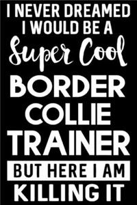 I Never Dreamed I Would Be A Super Cool Border Collie Trainer But Here I Am Killing It