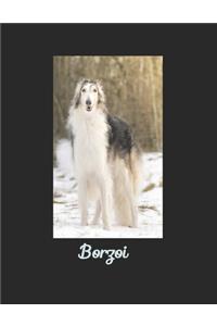 Borzoi notebook -