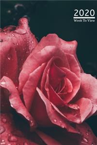 A5 2020 Diary Week To View Paperback Cover With Alternative Design -