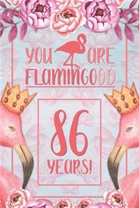 86th Birthday Journal