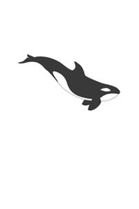 Orca Whale Notebook