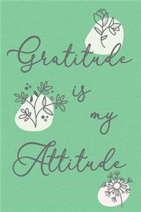 Gratitude is my Attitude Soft Cover Journal