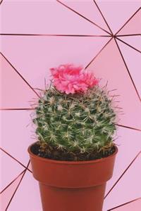 Bullet Journal: Awesome Cactus Succulent Bullet Journal - 120-Page 1/4 Inch Dot Grid Cactus Succulent Notebook - 6 X 9 Perfect Bound Softcover