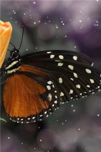 Butterfly Notebook