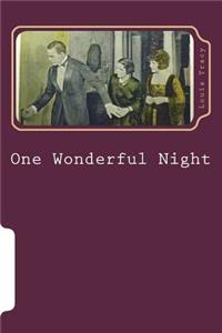 One Wonderful Night