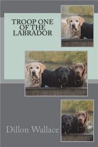 Troop One of the Labrador