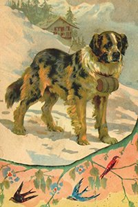 St. Bernard Rescue Dog