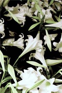 2019 Weekly Planner Flowers Pretty White Lilies 134 Pages