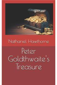 Peter Goldthwaite's Treasure