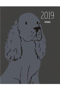 2019 Spaniel