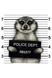 Meerkat Notebook