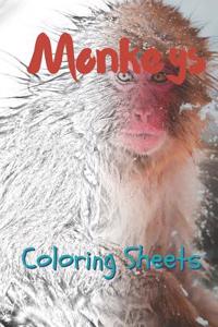 Monkey Coloring Sheets