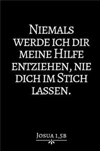 Niemals Werde Ich Dir...