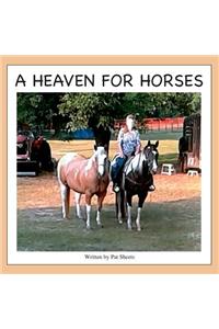 Heaven for Horses