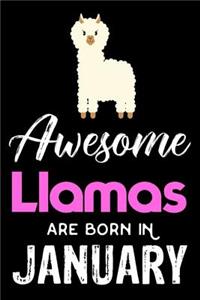 Awesome Llamas Are Born in January