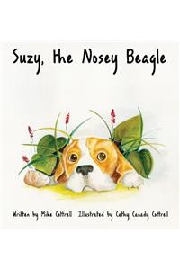 Suzy, the Nosey Beagle