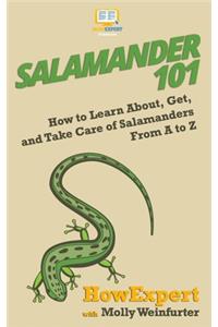 Salamander 101
