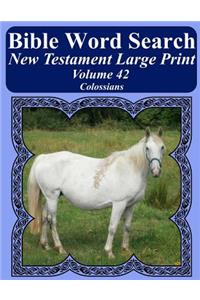 Bible Word Search New Testament Large Print Volume 42
