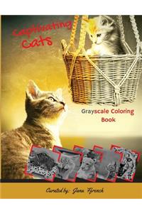 Captivating Cats Grayscale Coloring Book