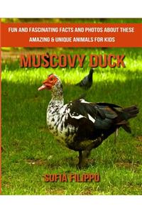Muscovy Duck