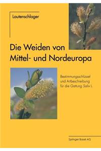 Die Weiden Von Mittel- Und Nordeuropa