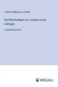 Mitschuldigen; Ein Lustspiel in drei Aufzügen