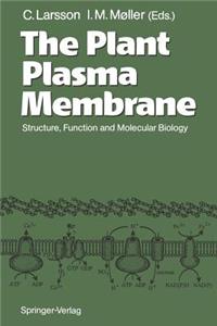 Plant Plasma Membrane