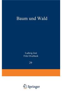 Baum und Wald