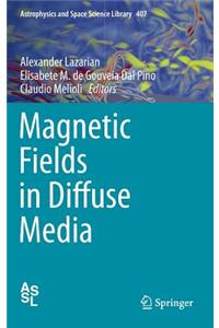 Magnetic Fields in Diffuse Media