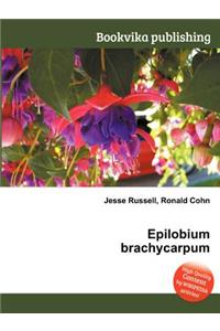 Epilobium Brachycarpum