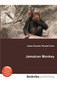 Jamaican Monkey