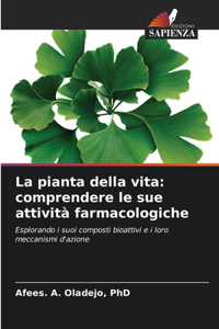 La pianta della vita
