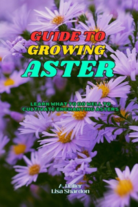 Guide to Growing Asters