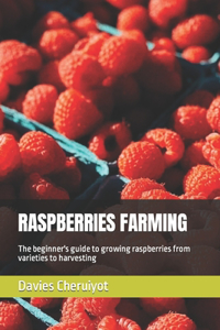 Raspberries Farming