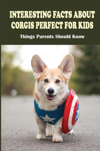 Interesting Facts About Corgis Perfect For Kids