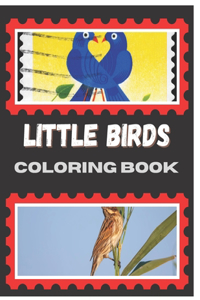 Little Birds Coloring Book