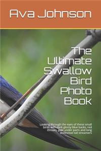 The Ultimate Swallow Bird Photo Book